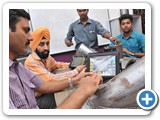 ndtcourseinchennai53