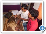 ndtcourseincoimbatore74