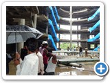 ndtinstituteinchennai76