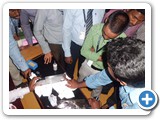 pcnndtcourseinchennai56